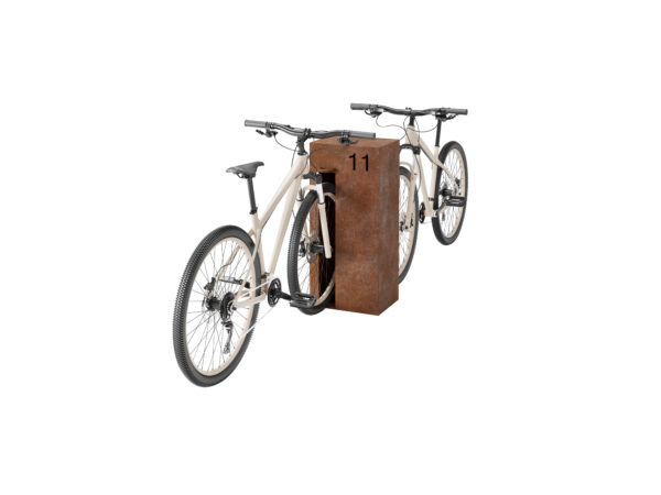 P-Bike